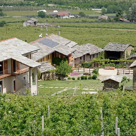 Bargiolina * Бардже