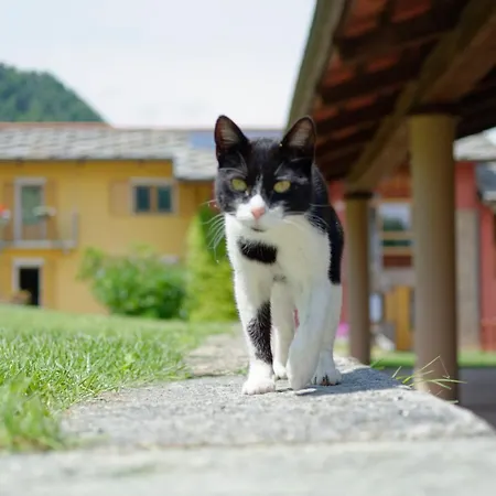 Lejlighed Bargiolina Barge