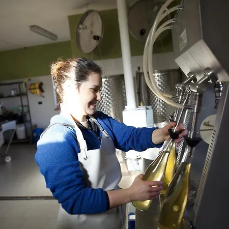 Bargiolina 바르게