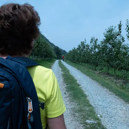 Bargiolina * 바르게